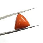 10.83 carats Red Coral (9.25 ratti) - Image 2