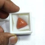 10.83 carats Red Coral (9.25 ratti) - Image 5