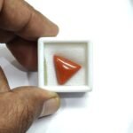 7.89 carats Red Coral (8.25 ratti) - Image 4