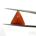 9.68 carats Red Coral (9.25 ratti)