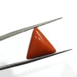 9.68 carats Red Coral (9.25 ratti) - Image 2