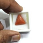 9.68 carats Red Coral (9.25 ratti) - Image 5