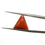 5.94 carats Red Coral (6.25 ratti)