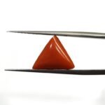 4.95 carats Red Coral (5.25 ratti)