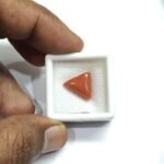 4.95 carats Red Coral (5.25 ratti) - Image 5
