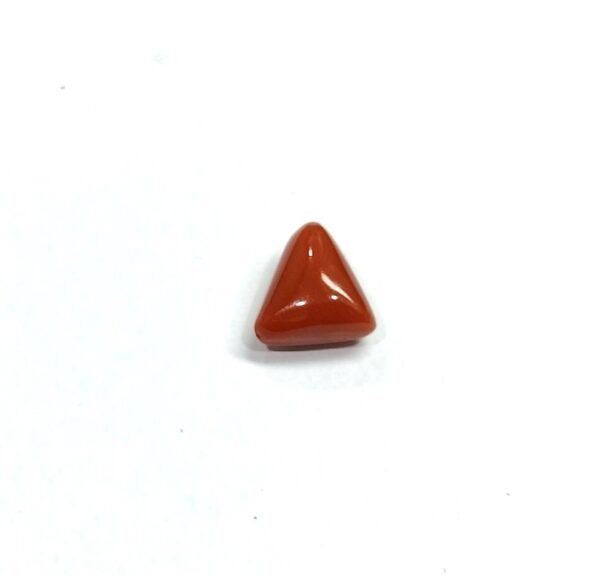 6.19 carats Red Coral (6.25 ratti) - Image 3