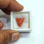 6.72 carats Red Coral (7.25 ratti) - Image 5
