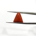 7.1 carats Red Coral (7.25 ratti)