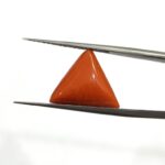 8.04 carats Red Coral (8.25 ratti)