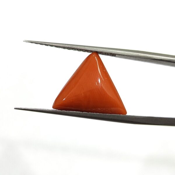 8.04 carats Red Coral (8.25 ratti) - Image 1