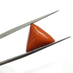 8.04 carats Red Coral (8.25 ratti) - Image 2