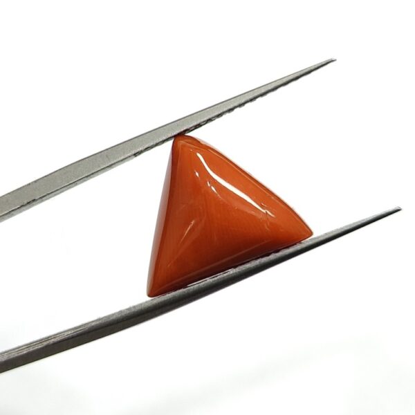 8.04 carats Red Coral (8.25 ratti) - Image 2