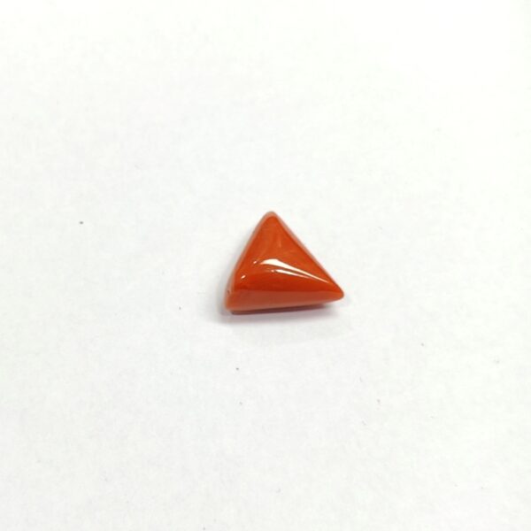 8.04 carats Red Coral (8.25 ratti) - Image 3