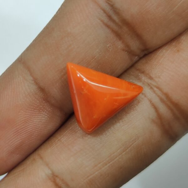 8.04 carats Red Coral (8.25 ratti) - Image 4