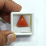 8.04 carats Red Coral (8.25 ratti) - Image 5