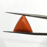 9 carats Red Coral (9.25 ratti)