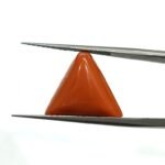 9.85 carats Red Coral (9.25 ratti)