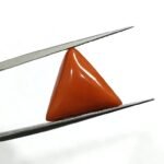 9.85 carats Red Coral (9.25 ratti) - Image 2