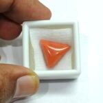 9.85 carats Red Coral (9.25 ratti) - Image 5
