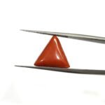 6.85 carats Red Coral (7.25 ratti)