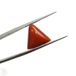 7.01 carats Red Coral (7.25 ratti) - Image 2