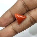 7.01 carats Red Coral (7.25 ratti) - Image 4