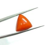 12.24 carats Red Coral (9.25 ratti) - Image 2