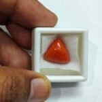 12.24 carats Red Coral (9.25 ratti) - Image 5