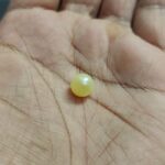 5.31 carats Pearl (5.25 ratti) - Image 4