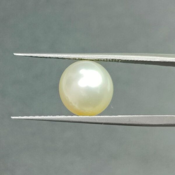 7.7 carats Pearl (8.25 ratti) - Image 2