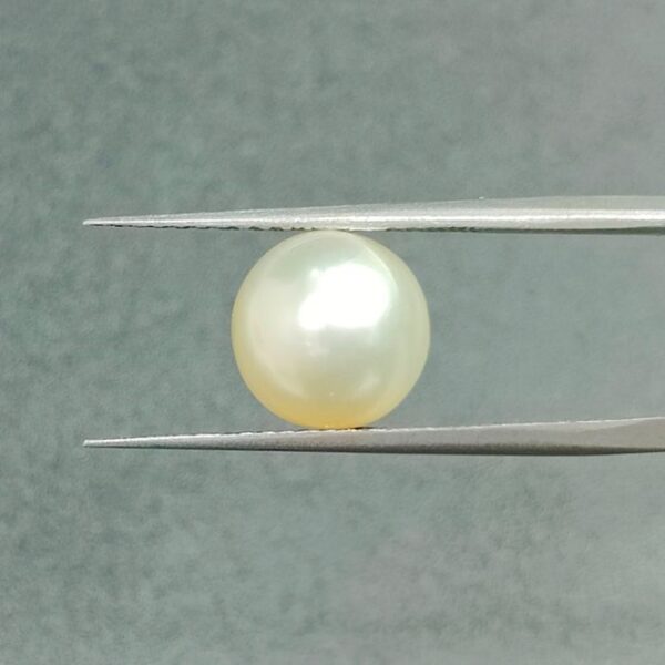 7.24 carats Pearl (7.25 ratti) - Image 2